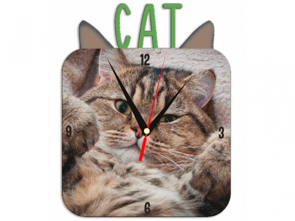 Часы металлические Cat