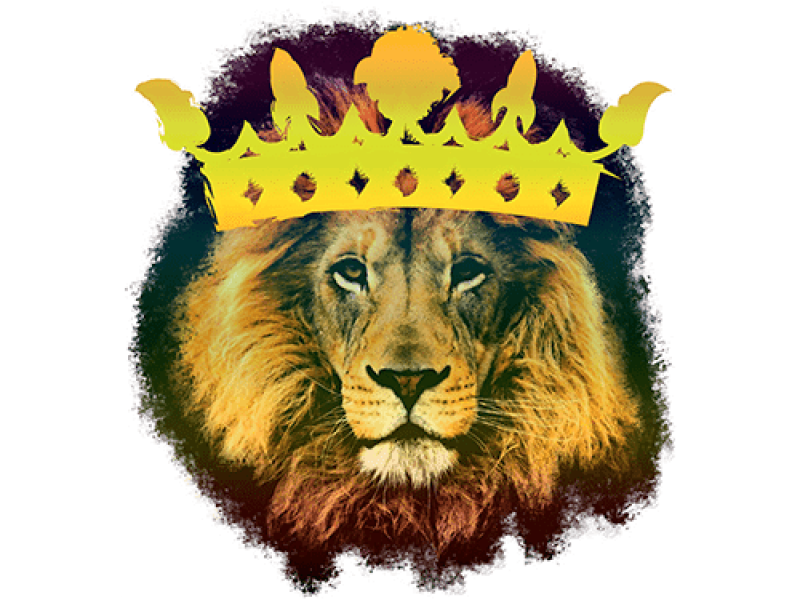 Лев с короной. Лев с короной на голове. Лев с короной на белом фоне. Лев царь в короне.