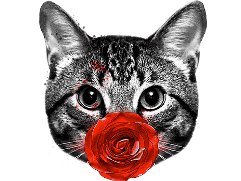 "Кошка с розой" Изображение для нанесения на одежду № 0915