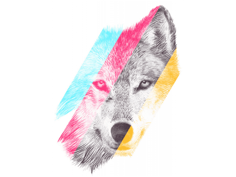 "Голова волка в цветную полоску" Изображение для нанесения на одежду № 0945