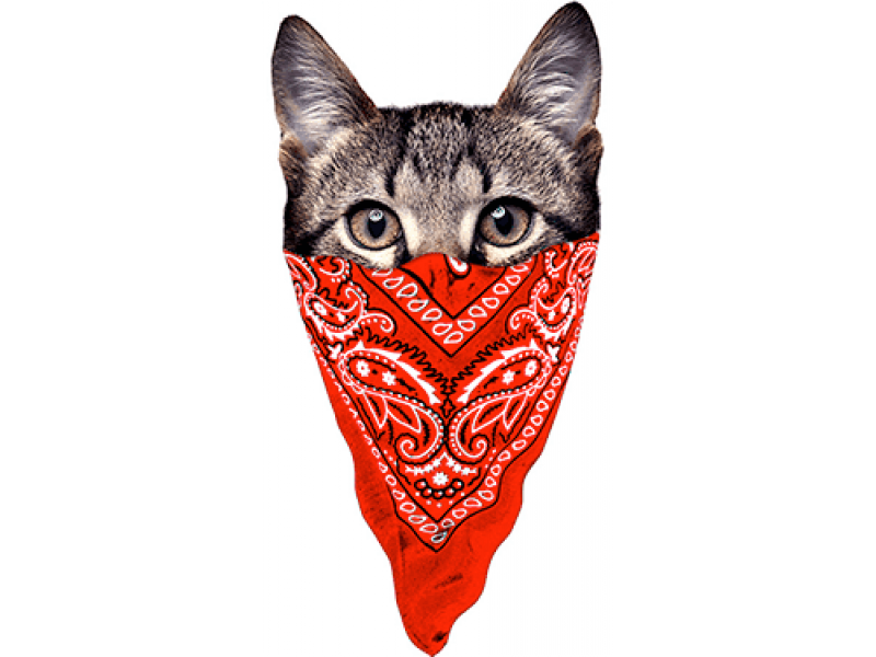"Кошка с красным платком" Изображение для нанесения на одежду № 1043