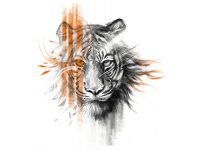 "Тигр голова с оранжевой полосой" Изображение для нанесения на одежду № 1069
