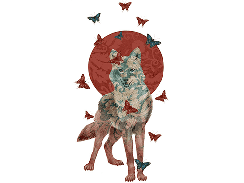 "Волк в красном солнце и бабочках" Изображение для нанесения на одежду № 1093