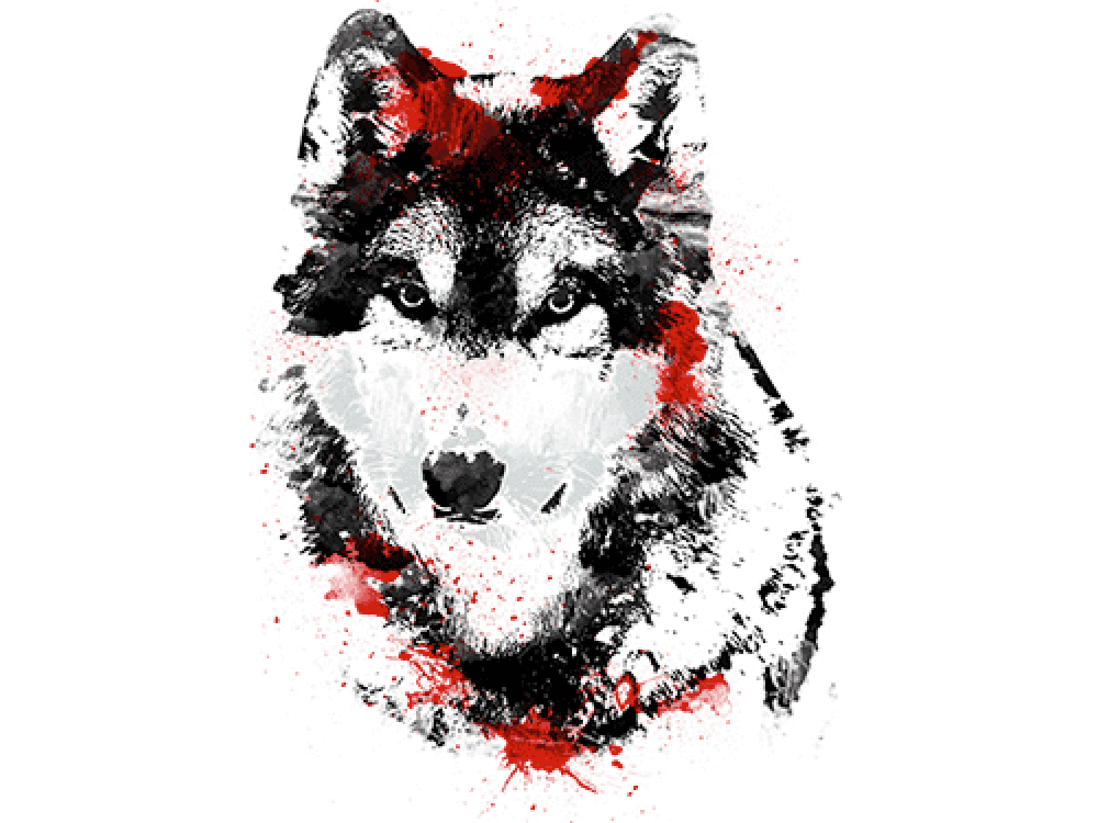 "Волк смотрит" Изображение для нанесения на одежду № 1149