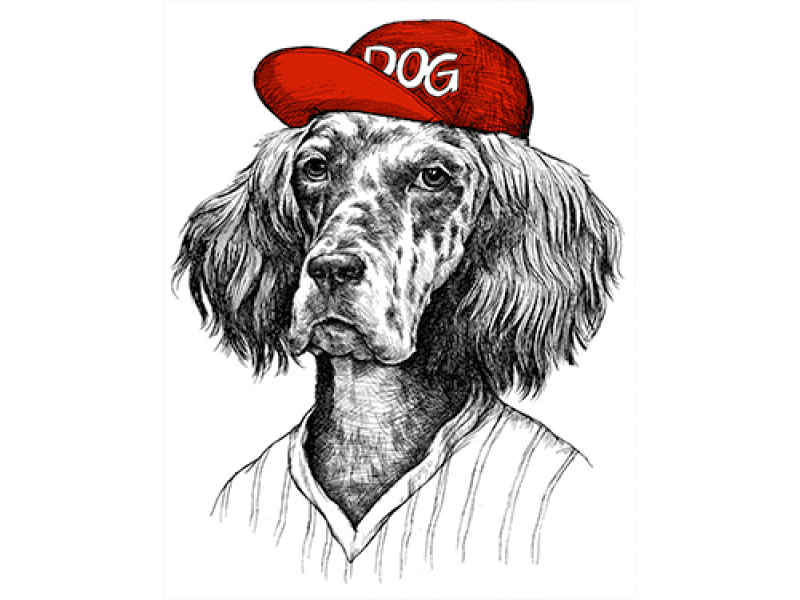 "Собака в красной кепке" Изображение для нанесения на одежду № 1191