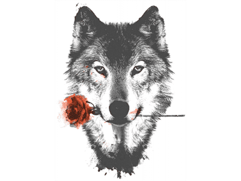 "Волк с цветком" Изображение для нанесения на одежду № 1208