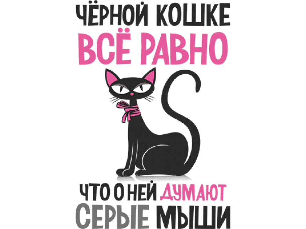 "Черной кошке все равно" Изображение для нанесения на одежду № 1620