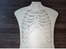 Пазл "Анатомия человека" из фанеры, 68 элементов