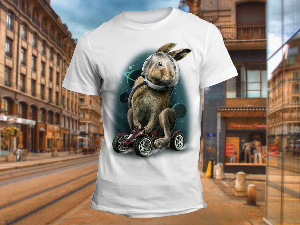 "Кролик на гоночной машине" Изображение для нанесения на одежду № 0952